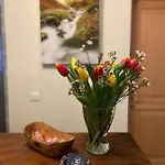 מלון Residenza D'epoca Grimani *