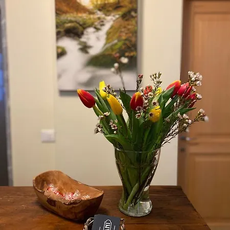 Szálloda Residenza D'epoca Grimani *